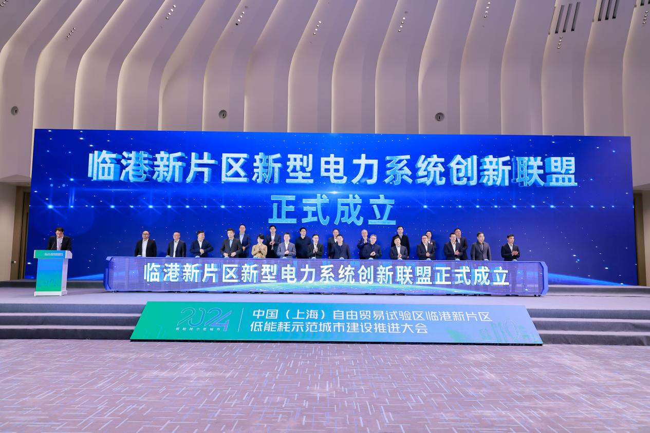 绿能公司主办临港新片区低能耗示范城市建设推进大会 加快推进新型电力系统建设-中国电气装备集团有限公司